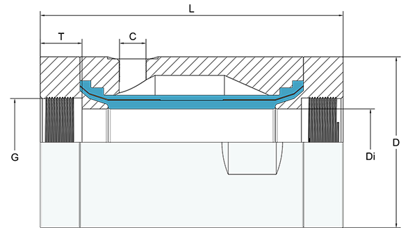 BMPS11 pinch valve